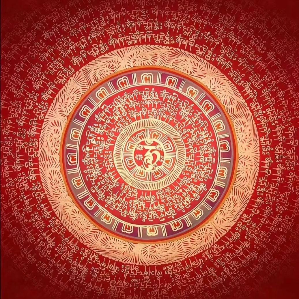 君君出行（小黄鱼老师）