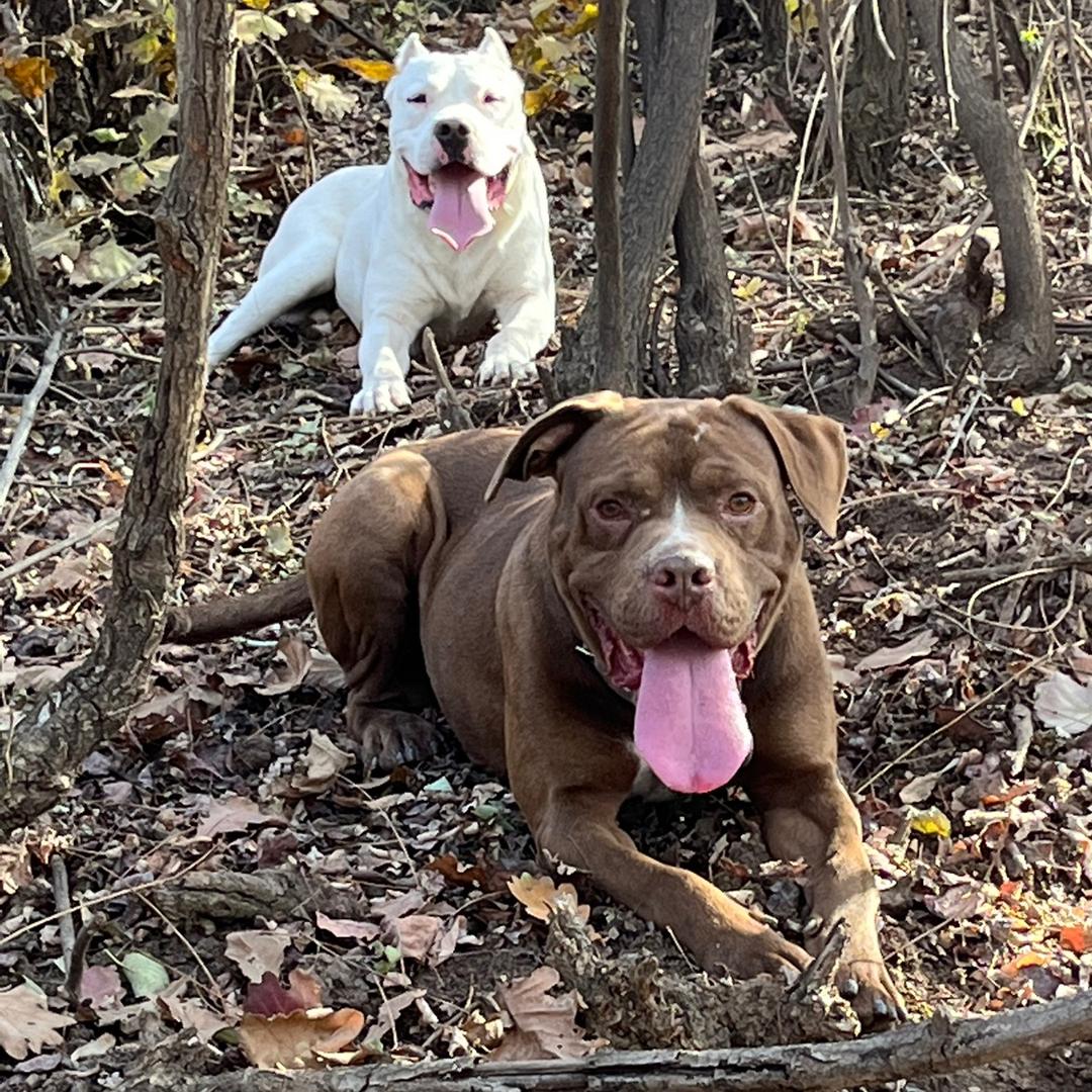 野丶《实战户外》