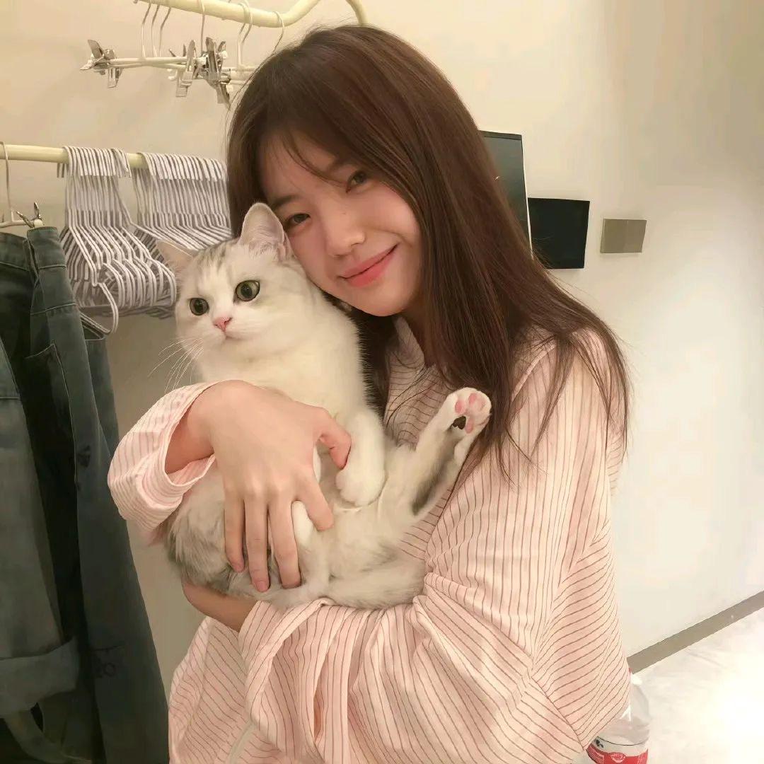 鸡蛋派