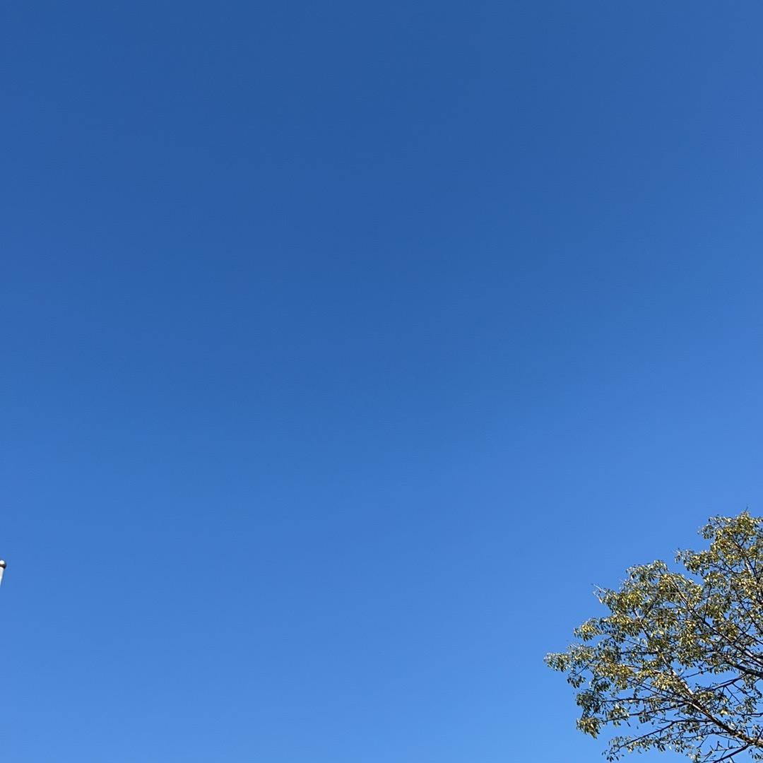 香港CC