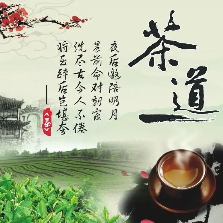 24黑曼巴8
