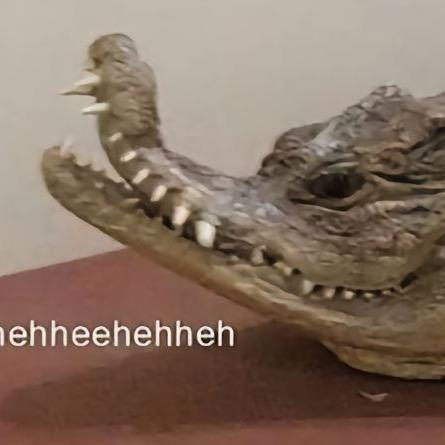 Am0s