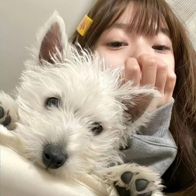 聪明小狗🐾