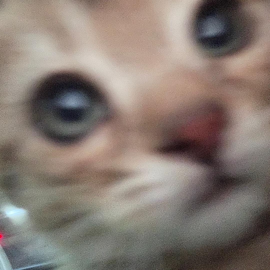 Pai的圆周率