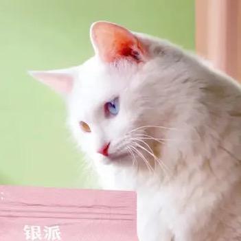 明月店11
