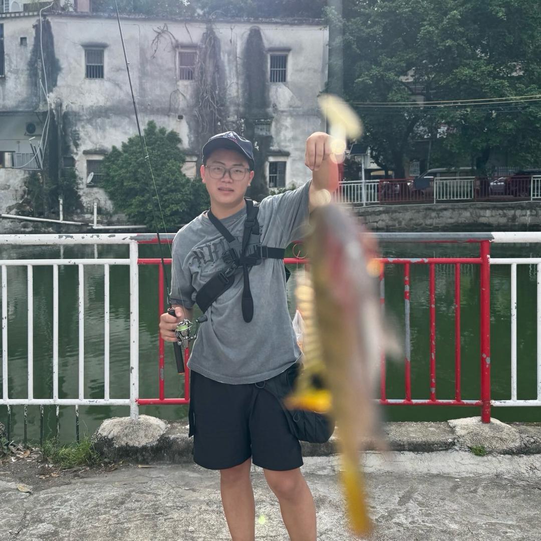 罗非王路亚