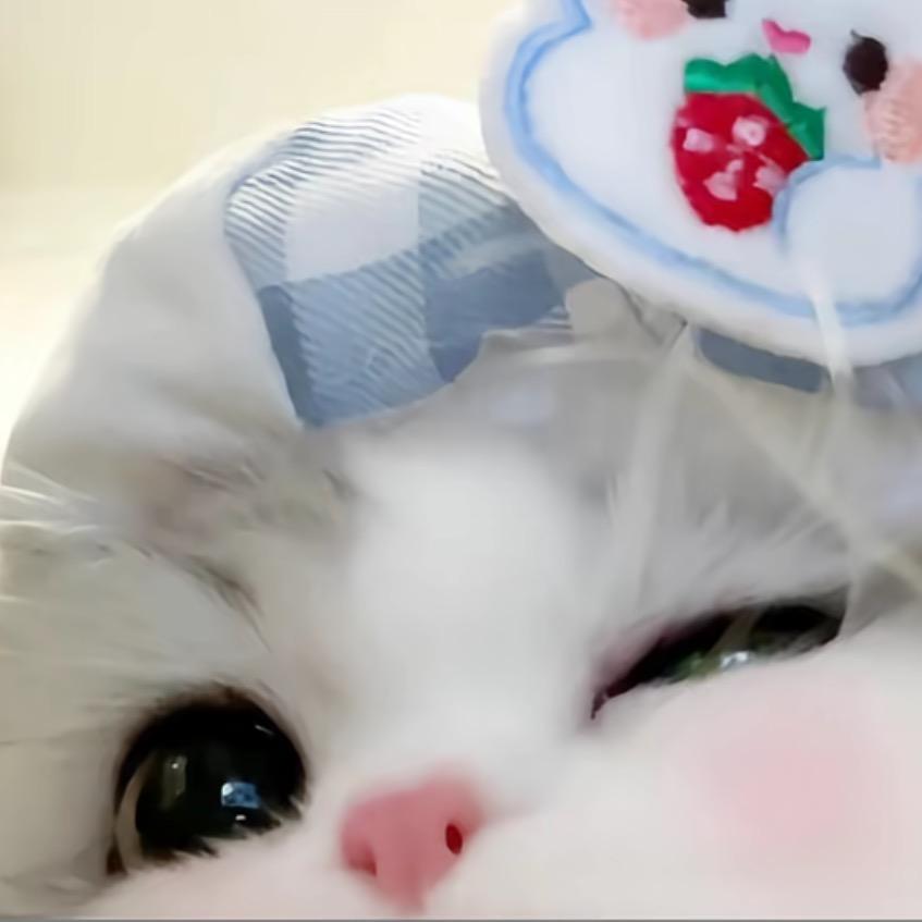 暖宝宝