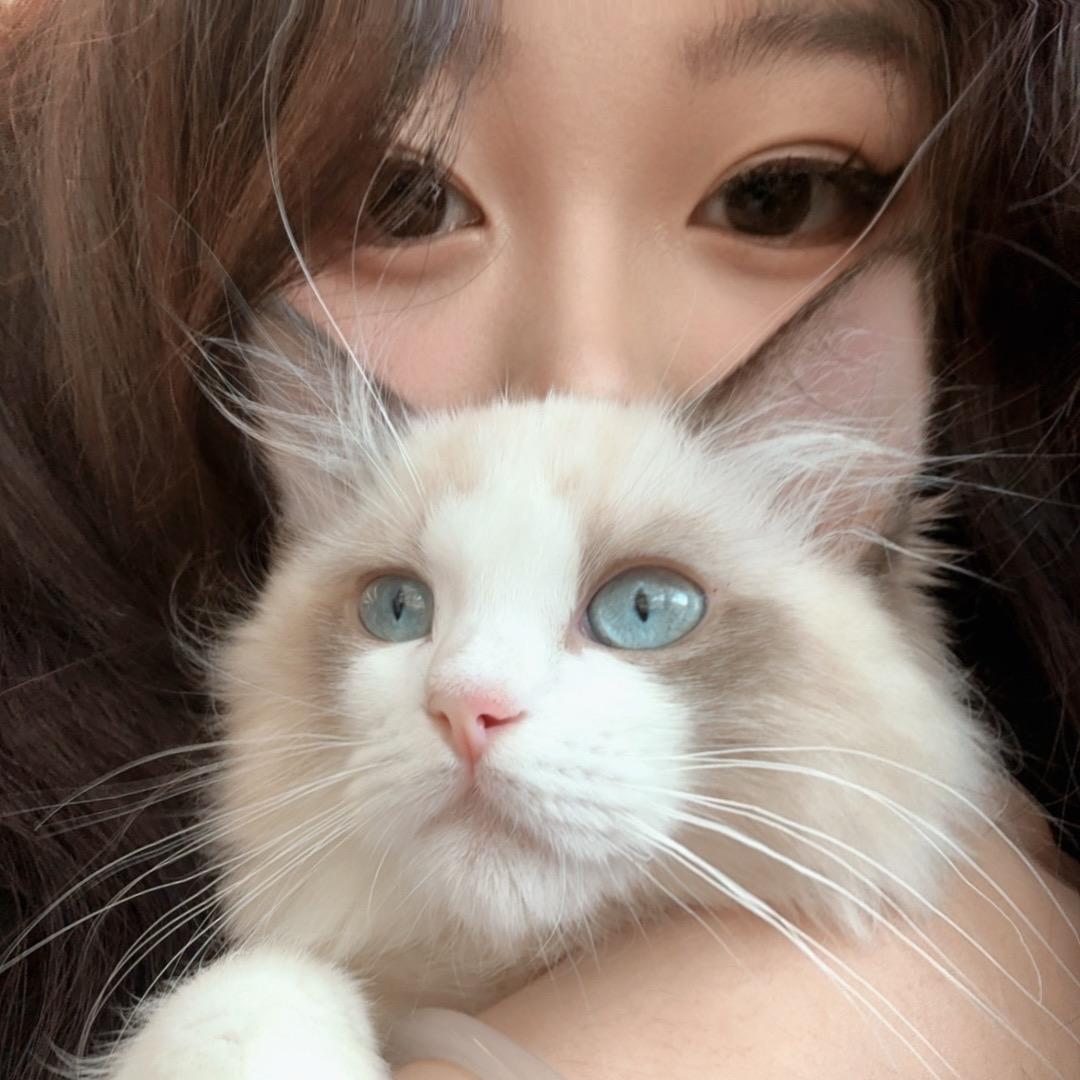 小粽粽包