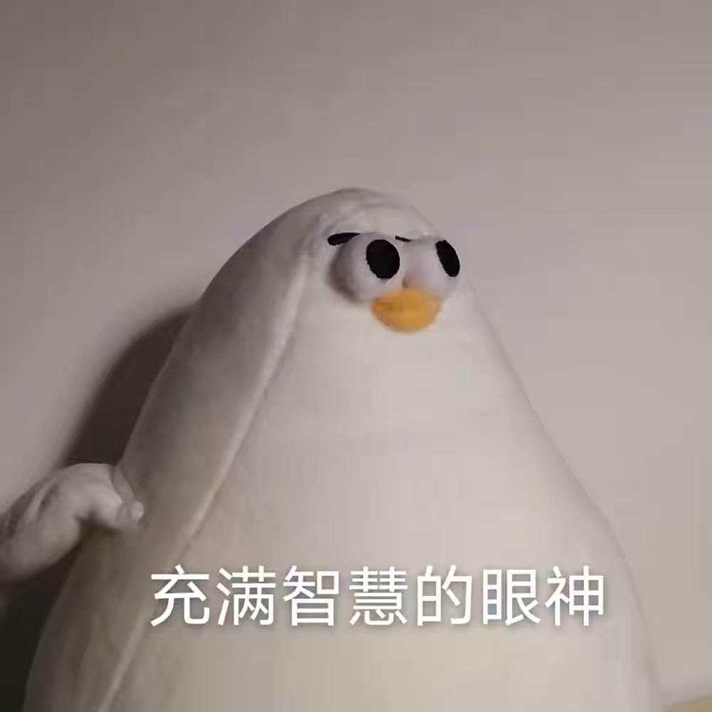 大刺猬呜呜
