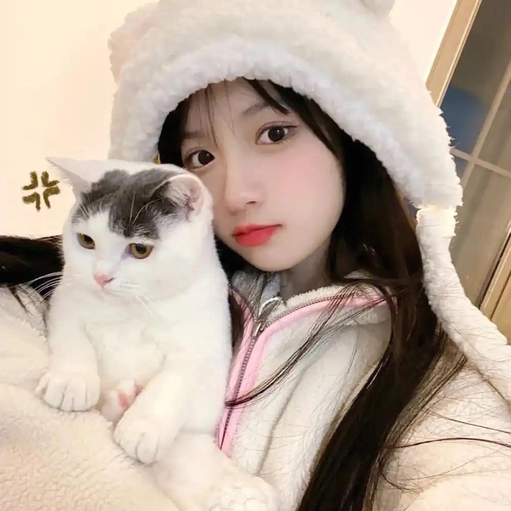迪迪爱绿植