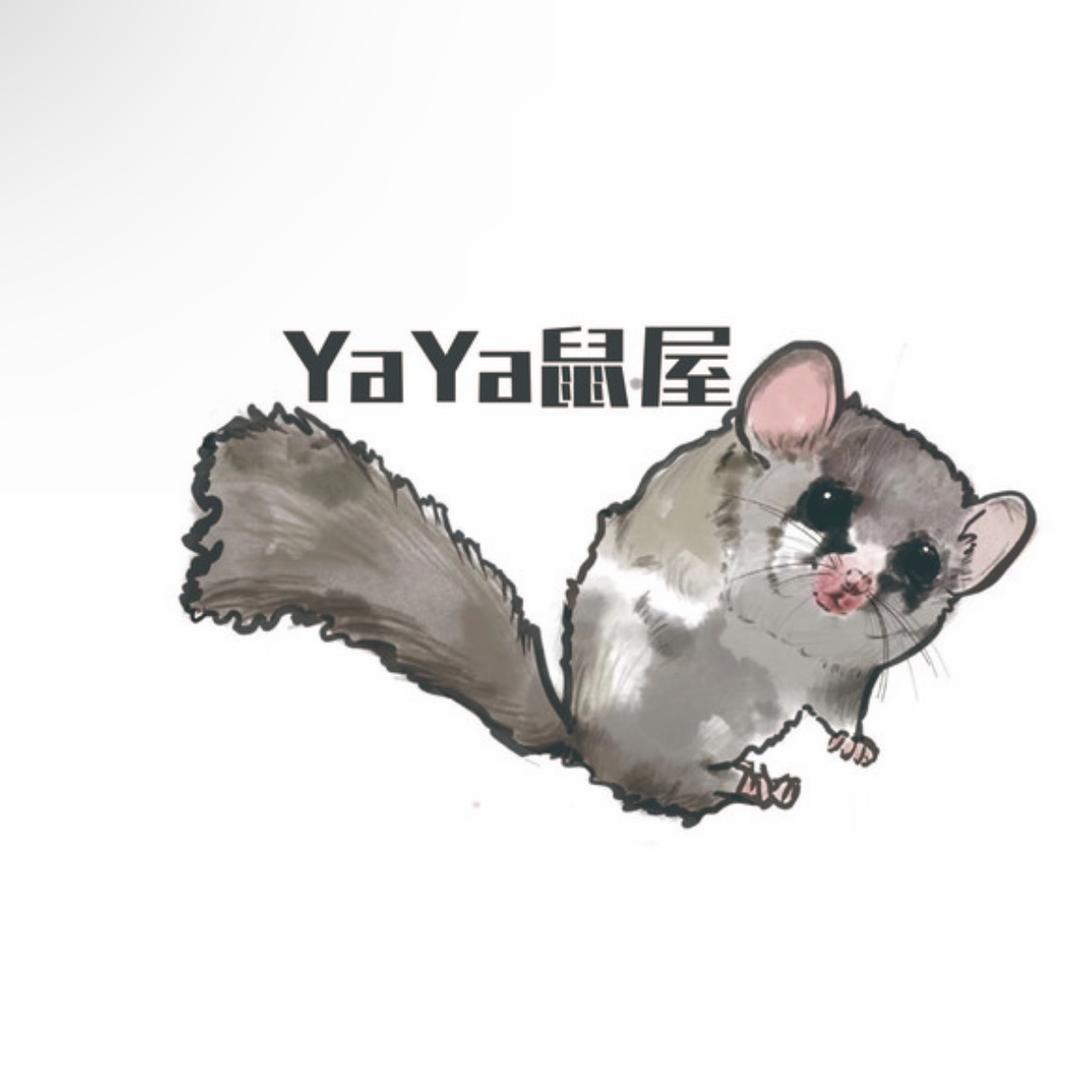 YaYa鼠屋（出鼠）