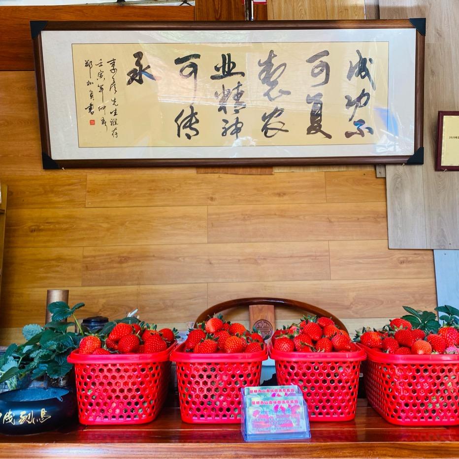 【农友尚聚 】森林部落生态🍓🥬营地