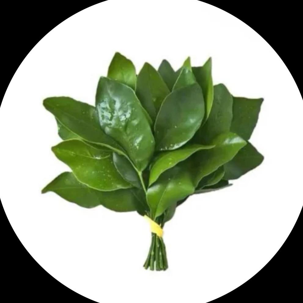 麦恩莉