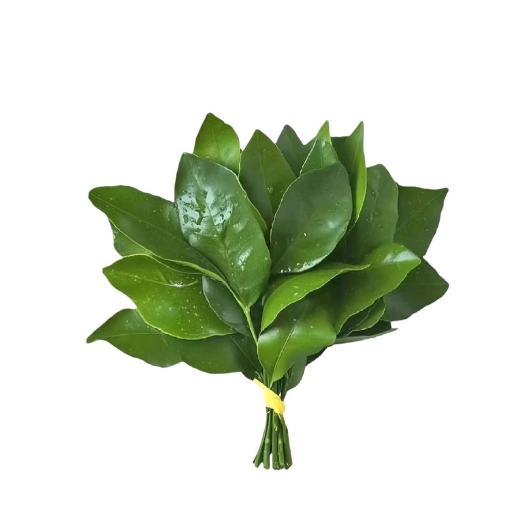 一周八天困