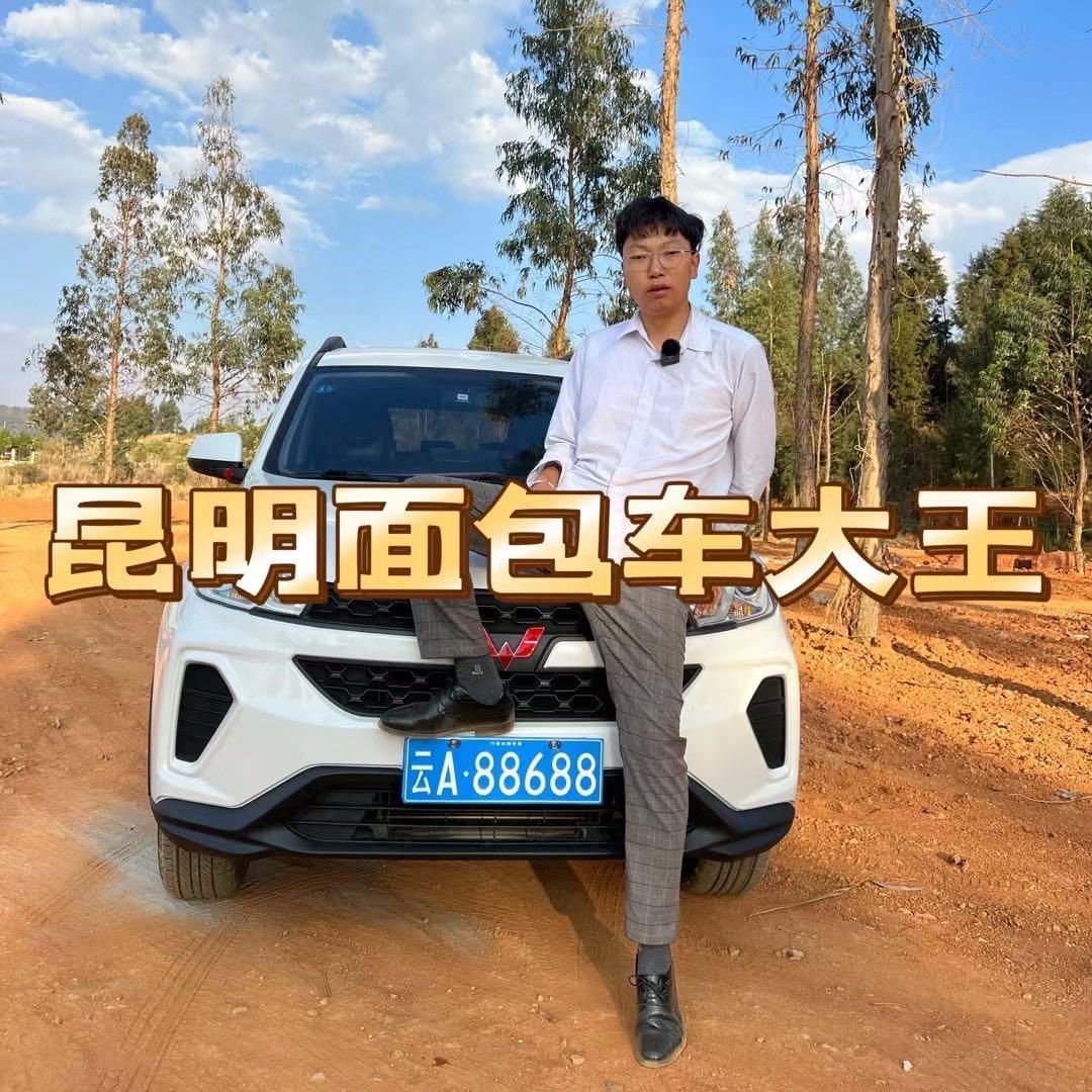 云南面包王二手车