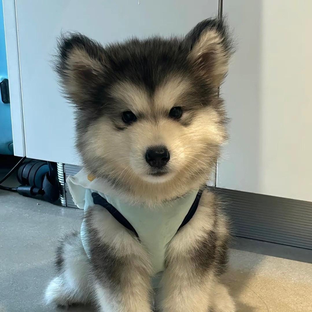 邯郸GM密室-帕克🕸️