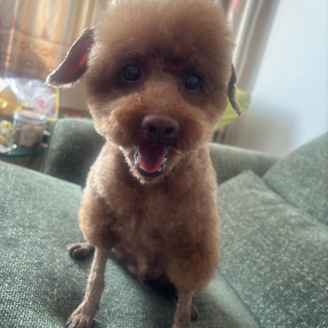 常熟八达1区1545号