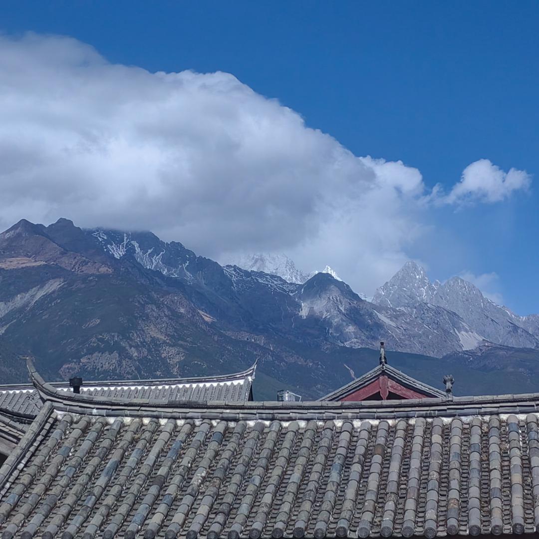 小朱总