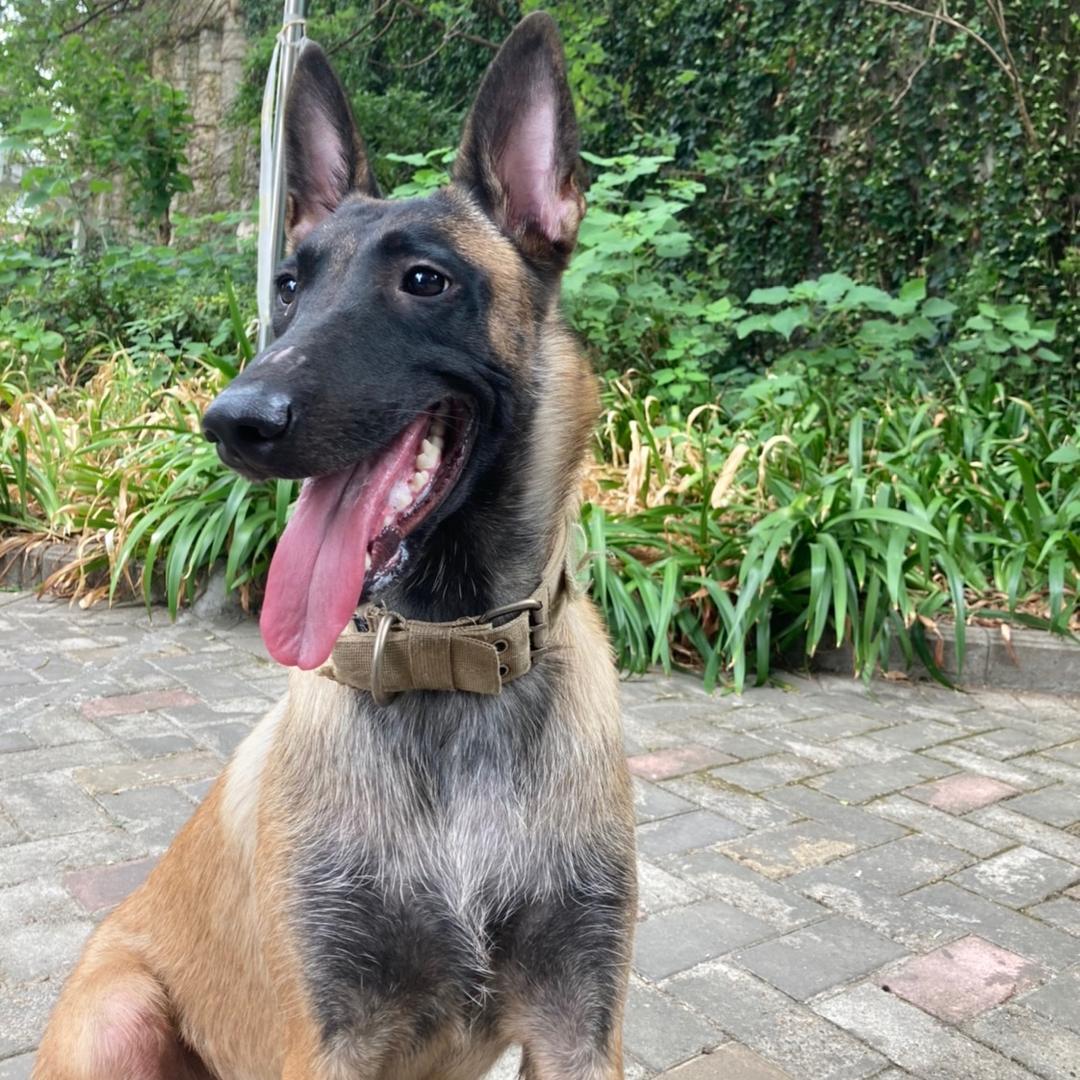 农夫三拳有点疼