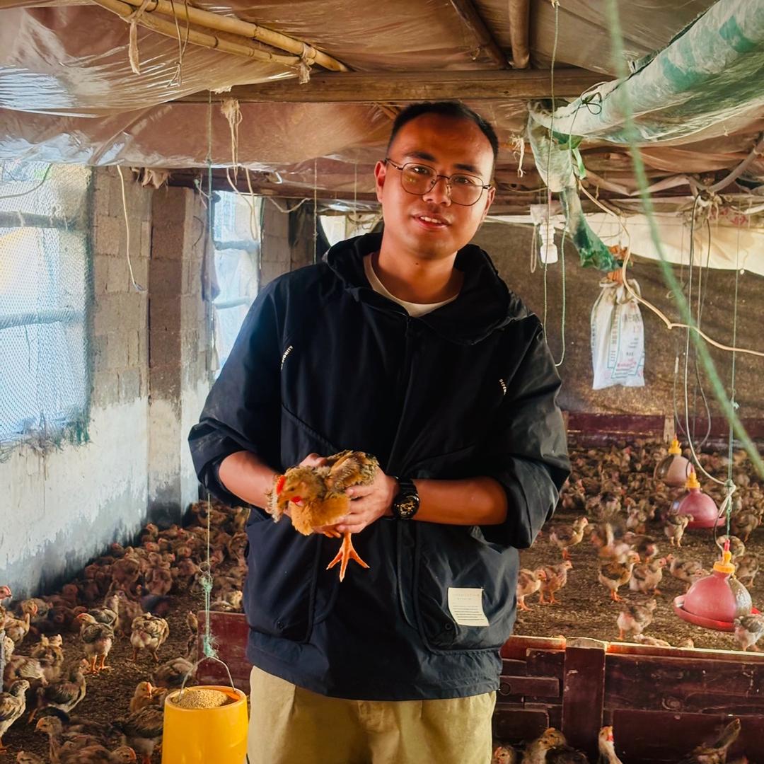 贵州金绿鑫畜牧有限公司