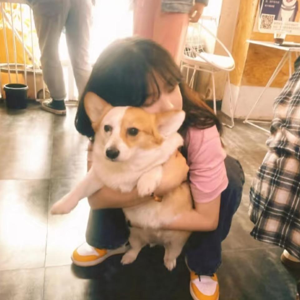 子心心