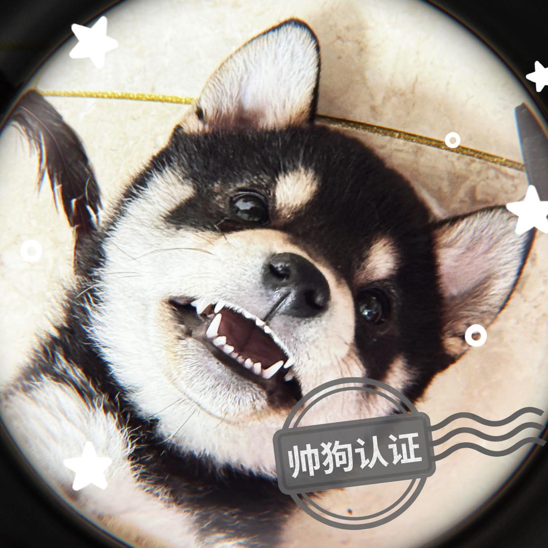 小熊🐻软糖🍬