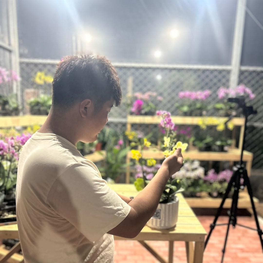 帆帆与花园