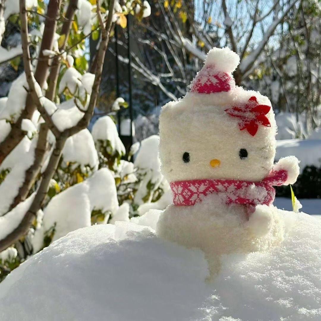 kitty肖恩