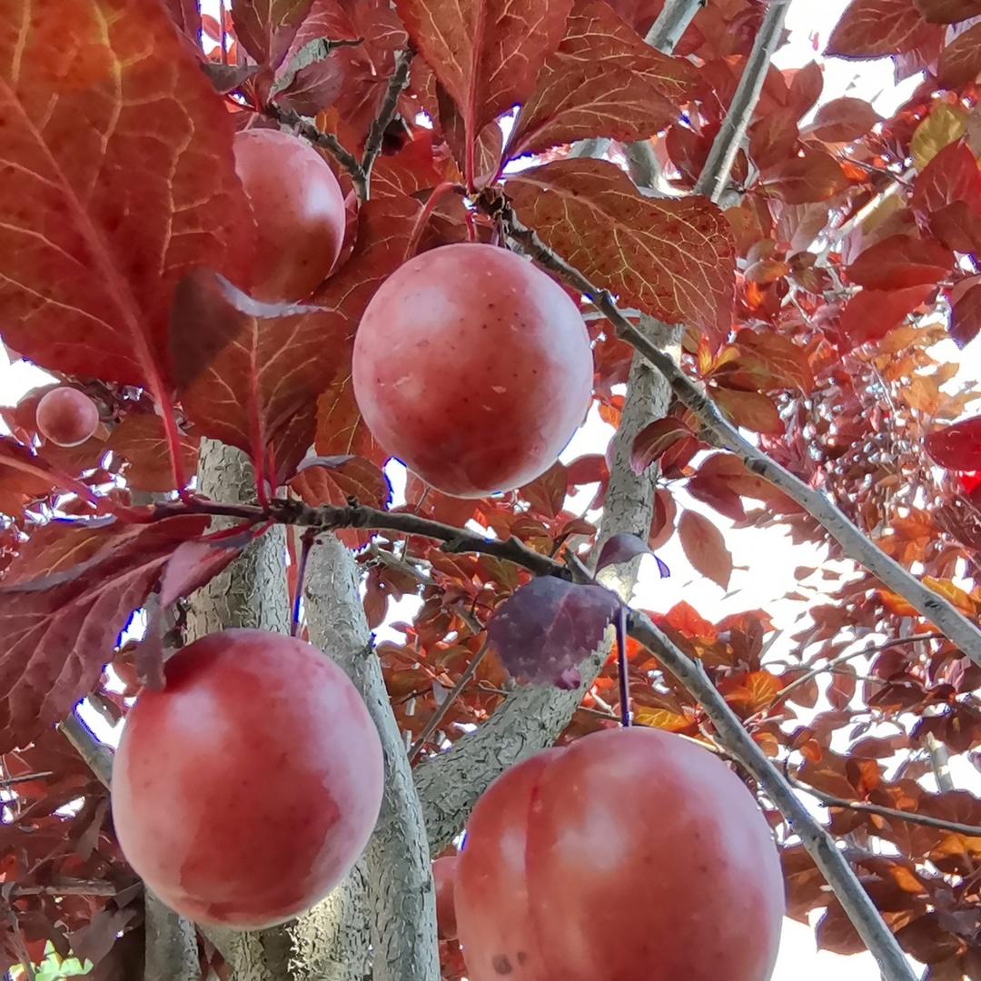 放过她也放过你