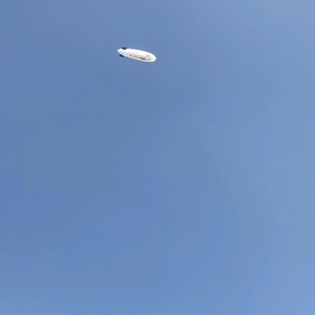 野踪探索⚡️