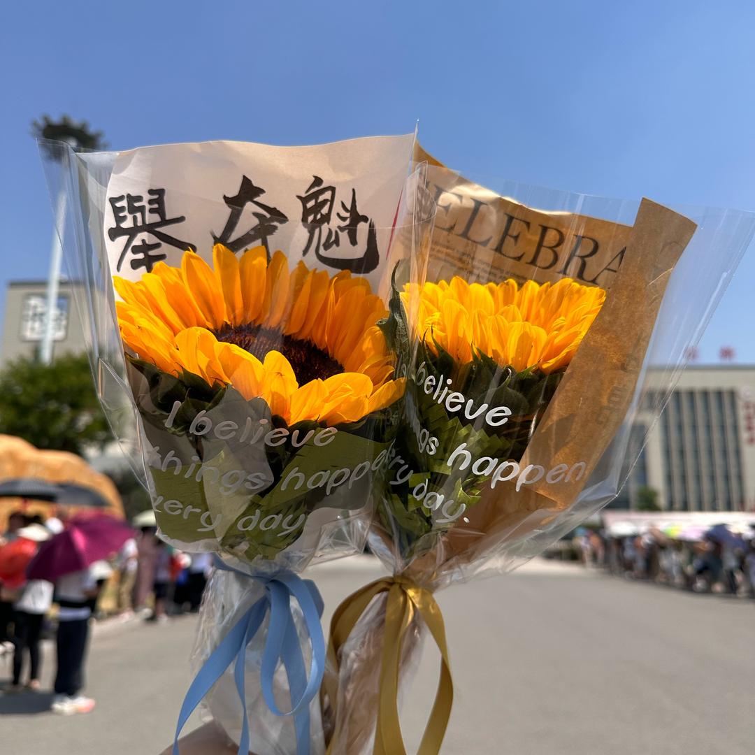 西西 2027圆梦高考