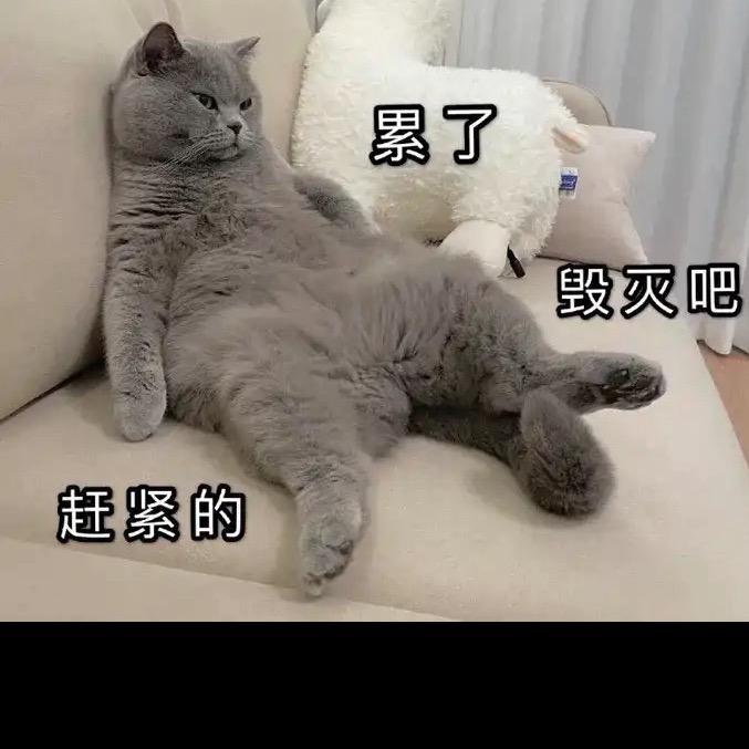番茄大王🍅