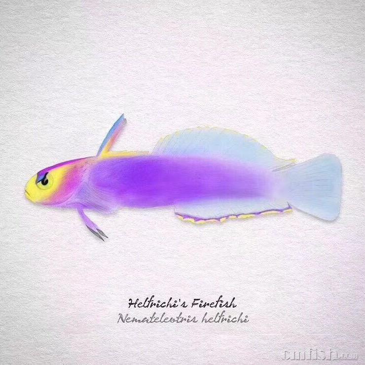 哈尔滨梦幻海洋水族用品