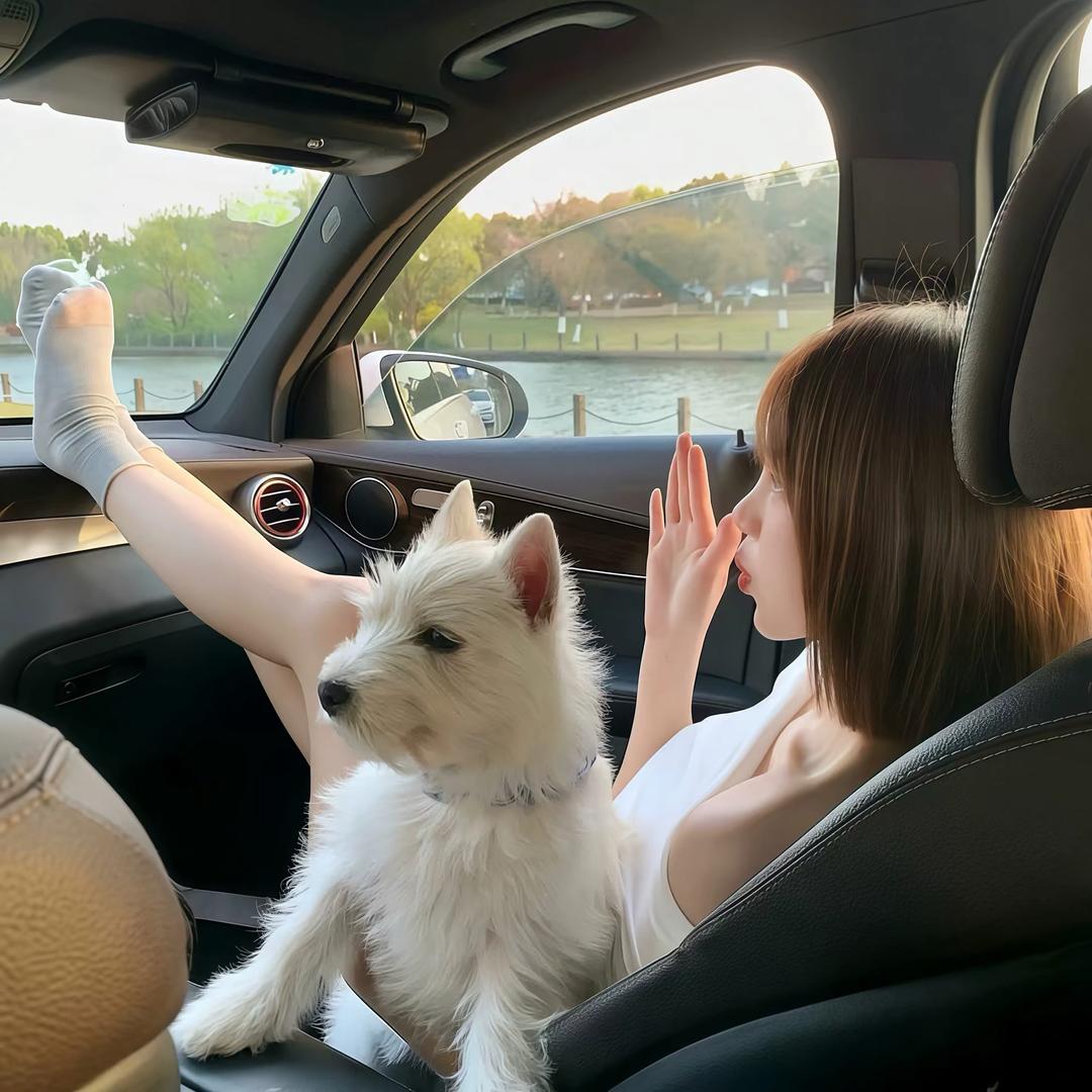 小猫也有烦心事·