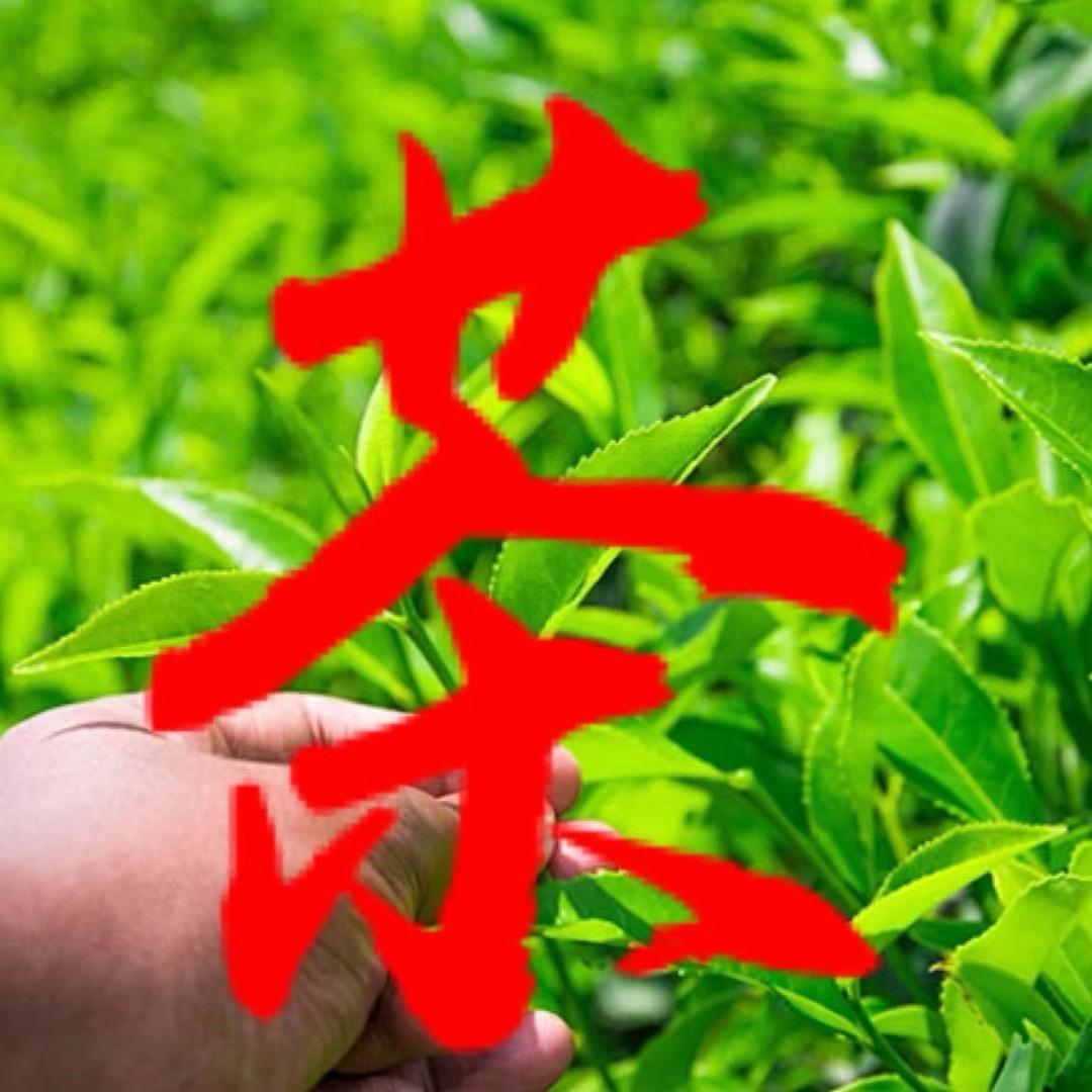 如心商行
