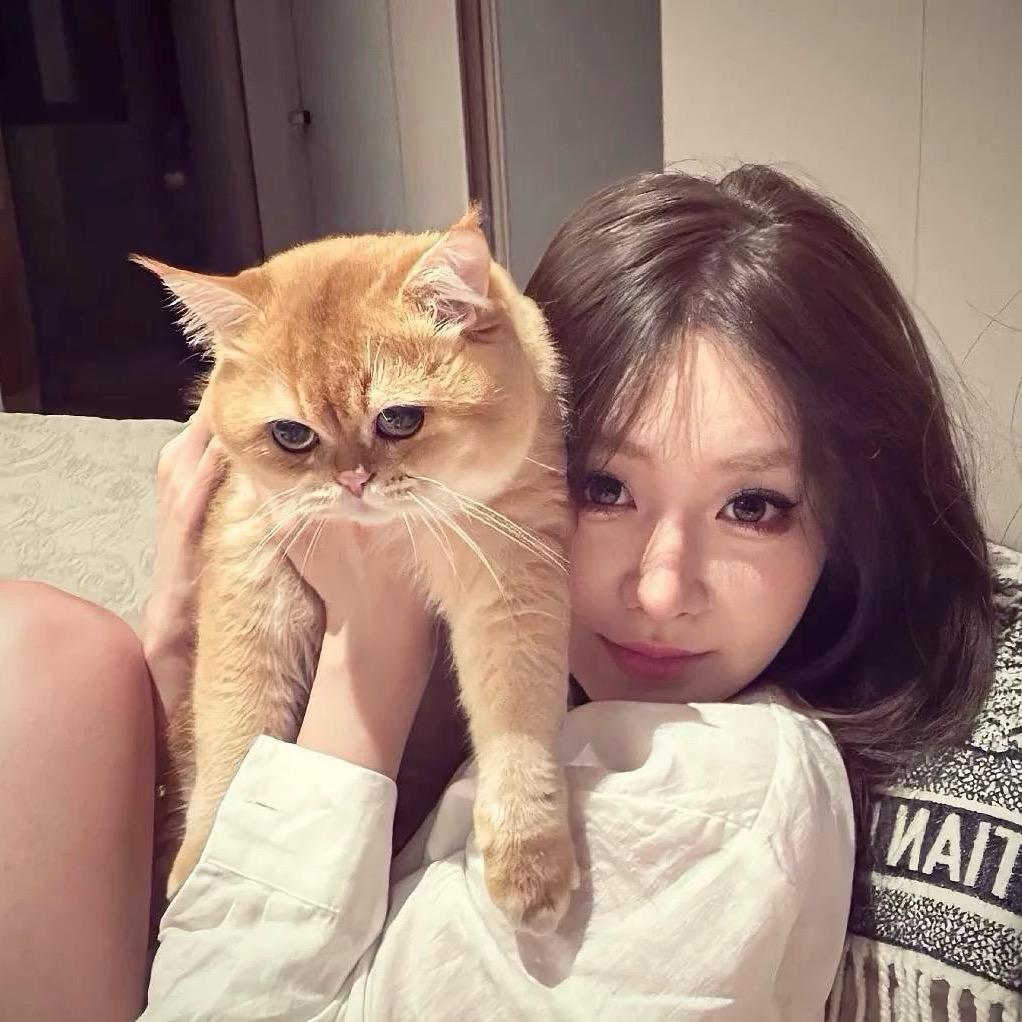 .。