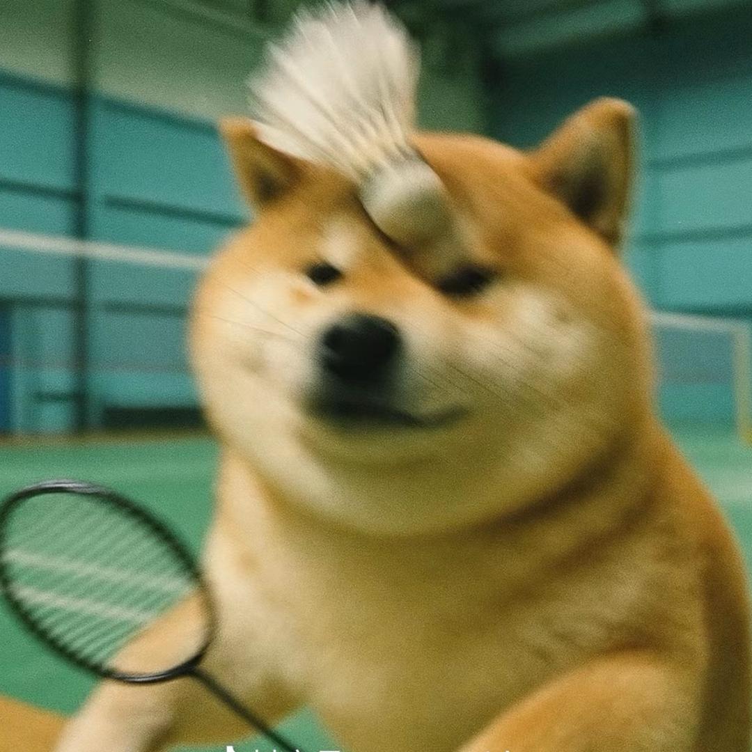 橘子烤糊了