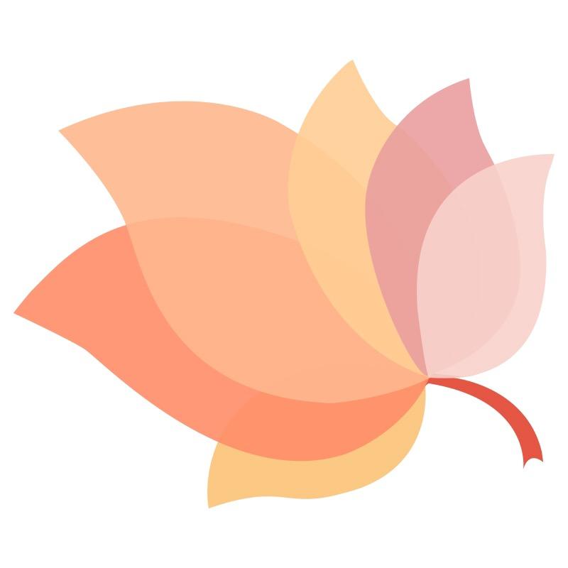 秋叶软装设计工作室