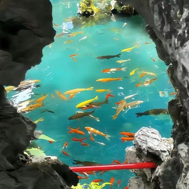 天天讲Ai