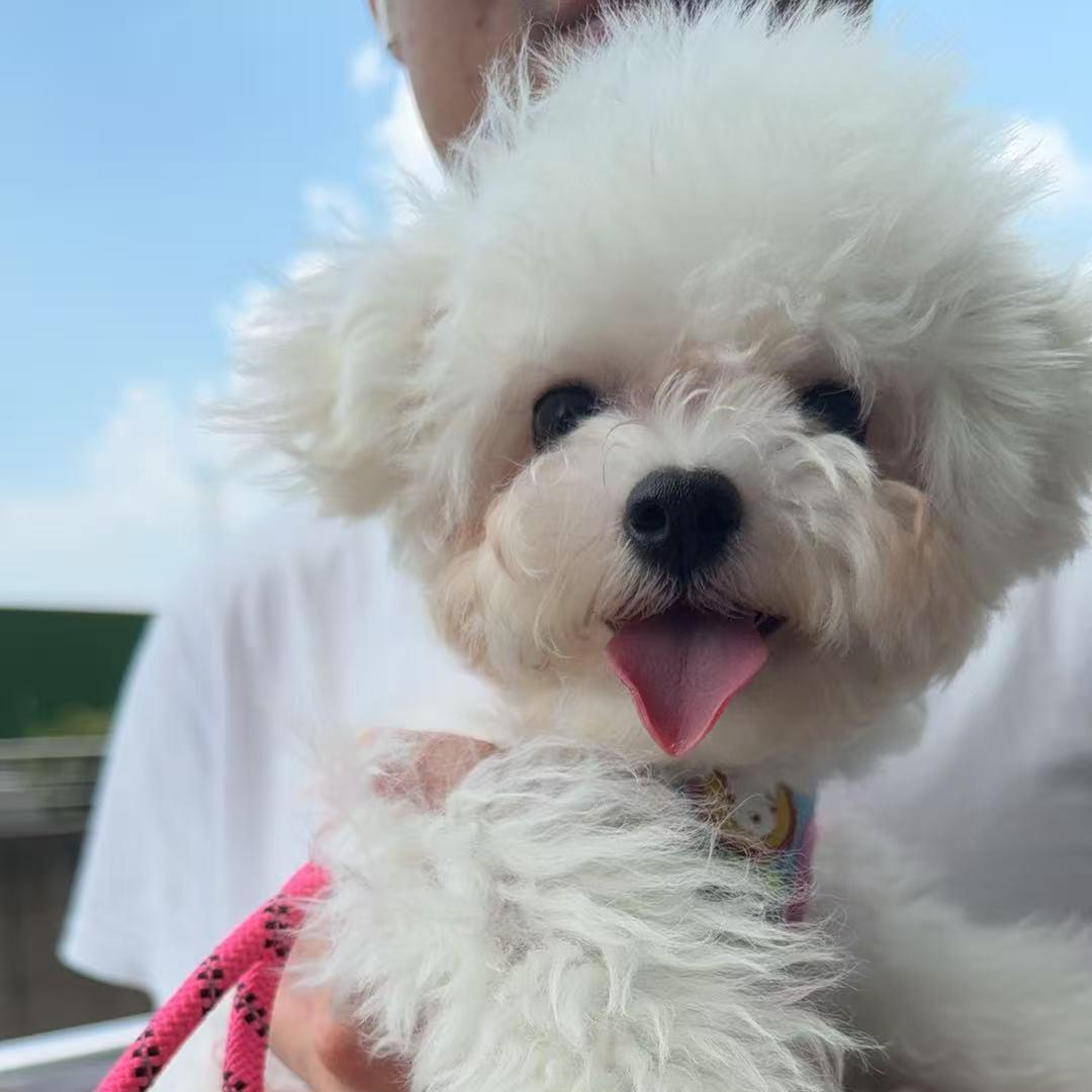 💖 ʟ̆̈ᴜ̆̈ᴄ̆̈ᴋ̆̈ʏ̆̈张张