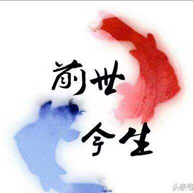 小笨蛋
