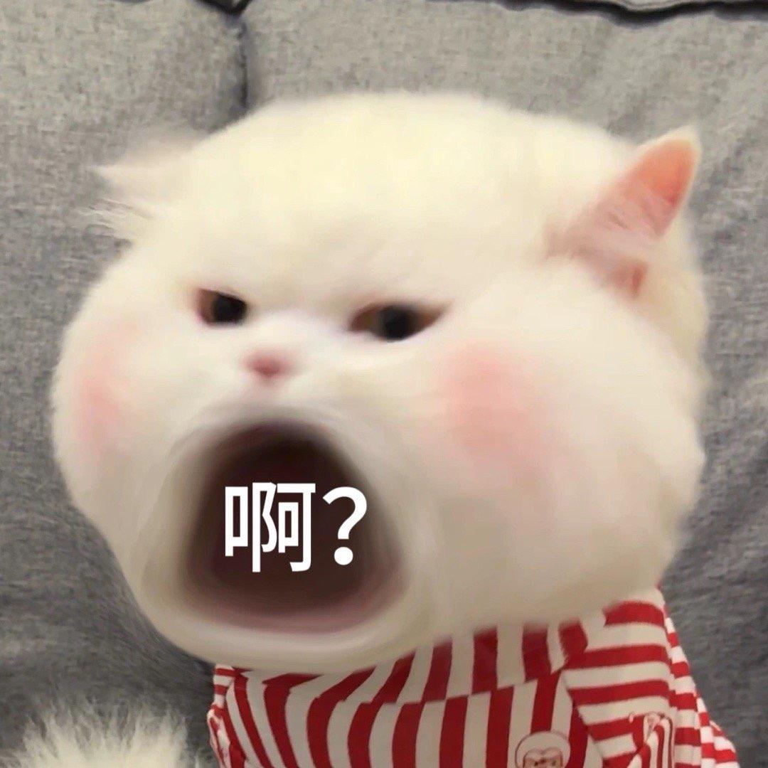 🌈听说你也很乐观呢