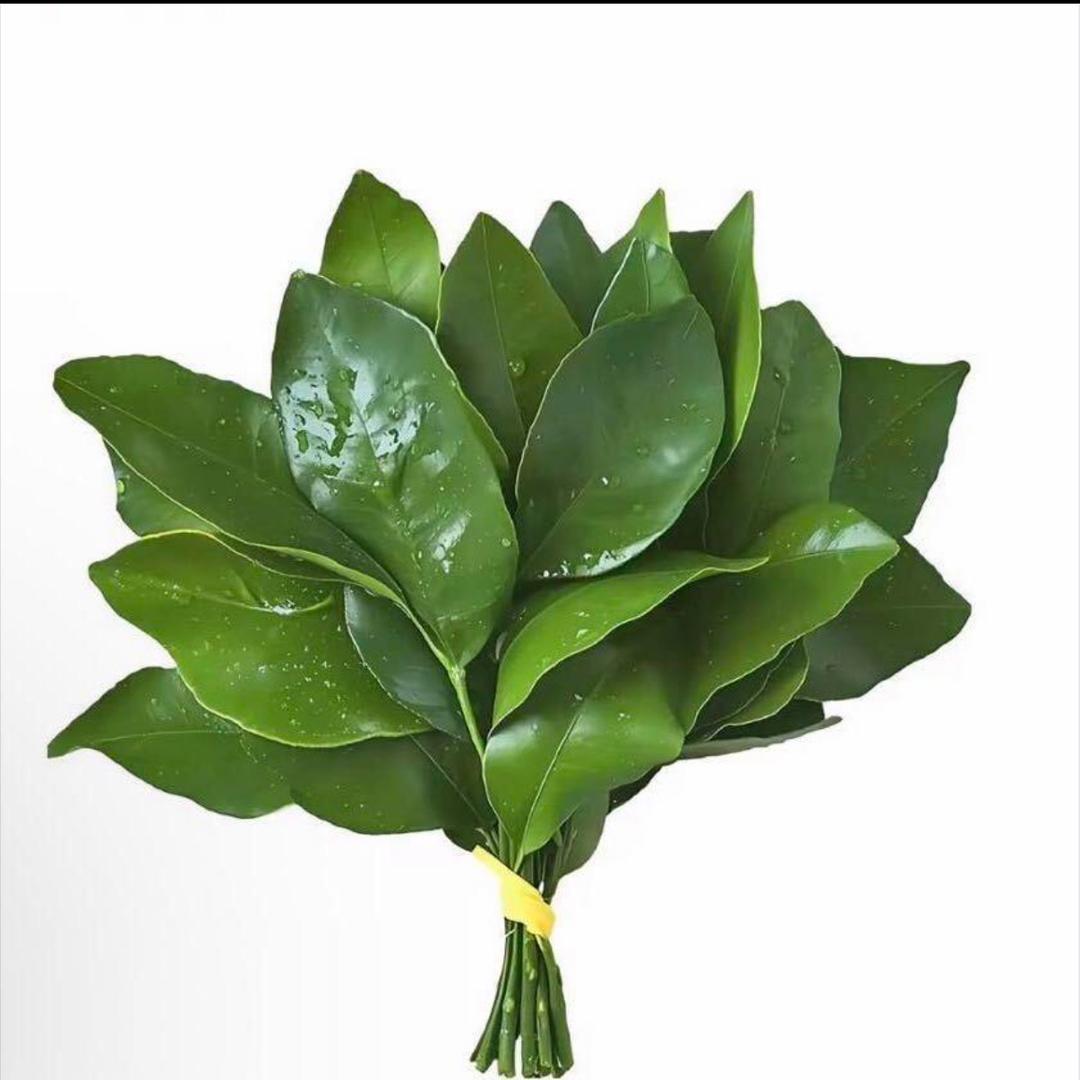 。。。。。。。