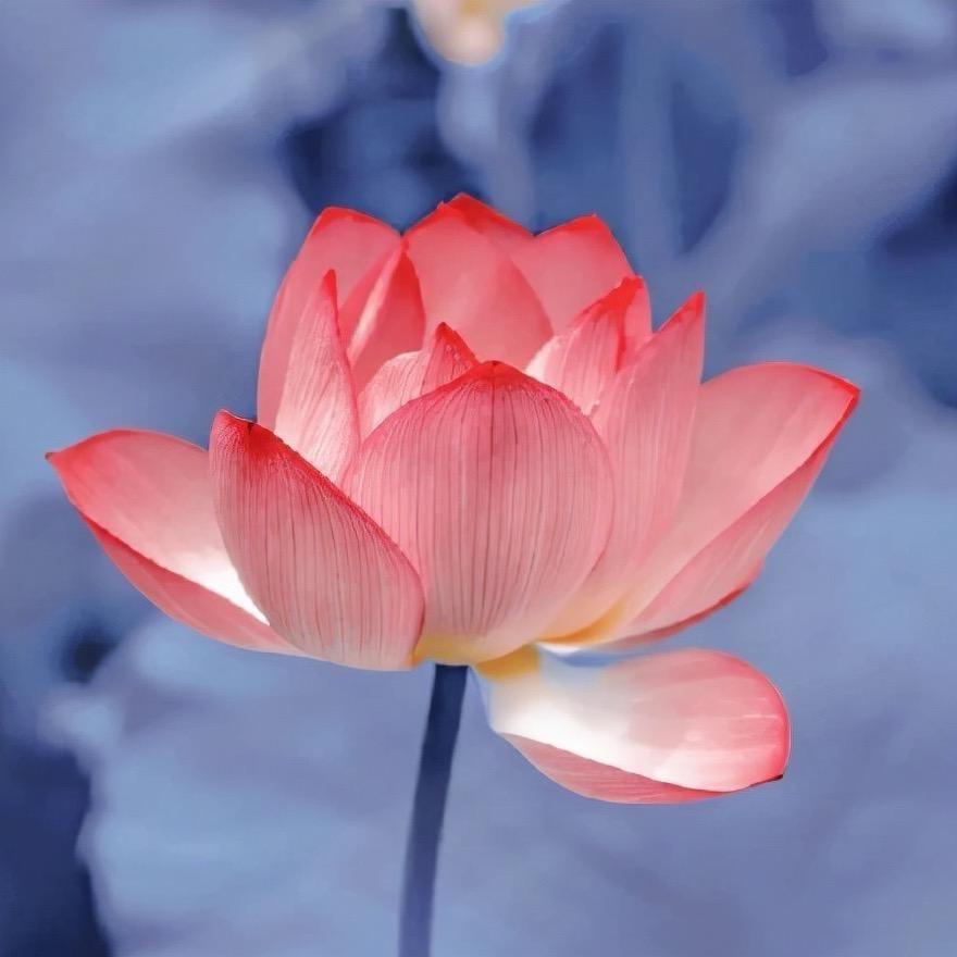 灵汐u