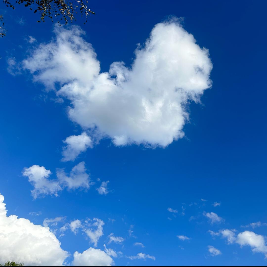 满世界捡星星🌟