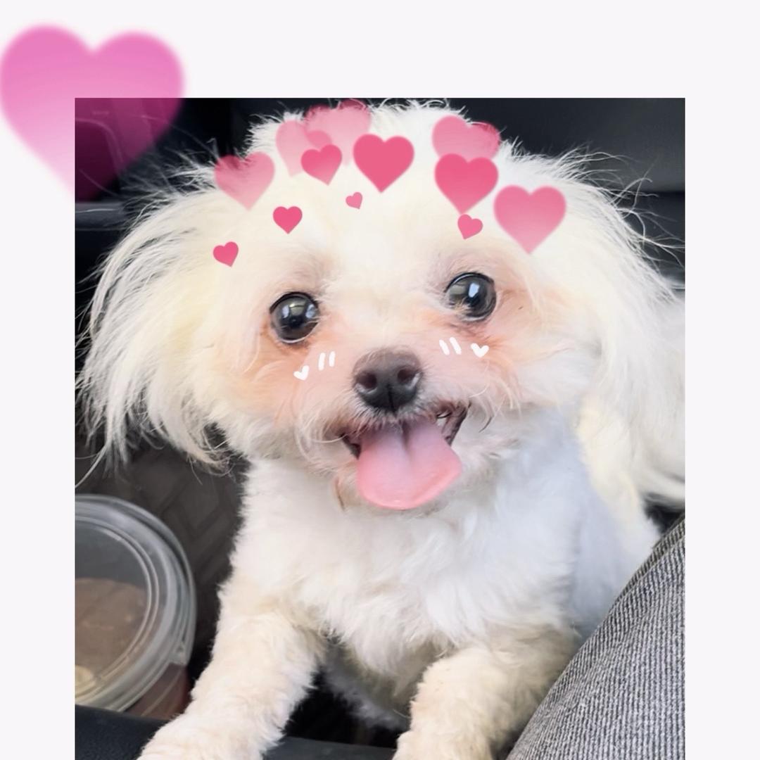 阿拉倩🎀