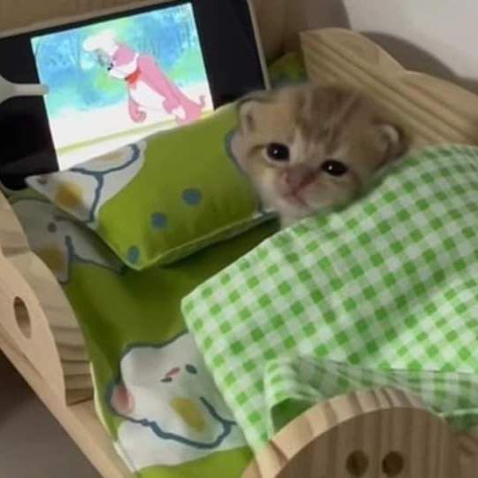 程温