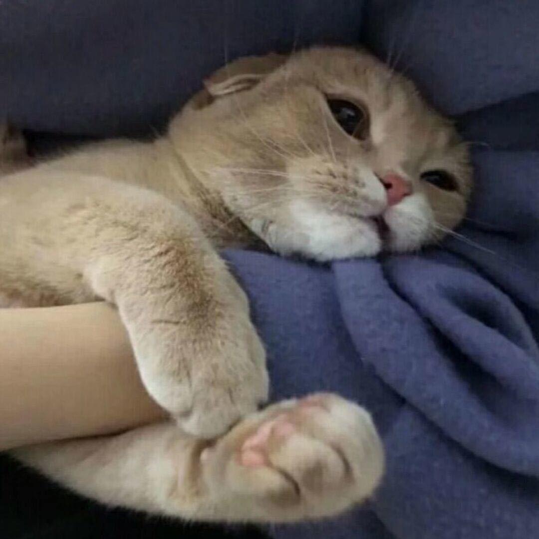 阿铭呢