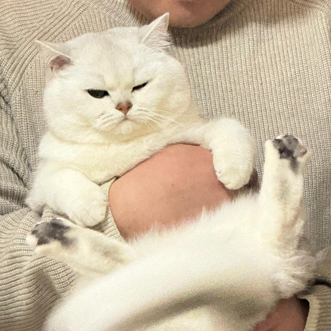 周周周