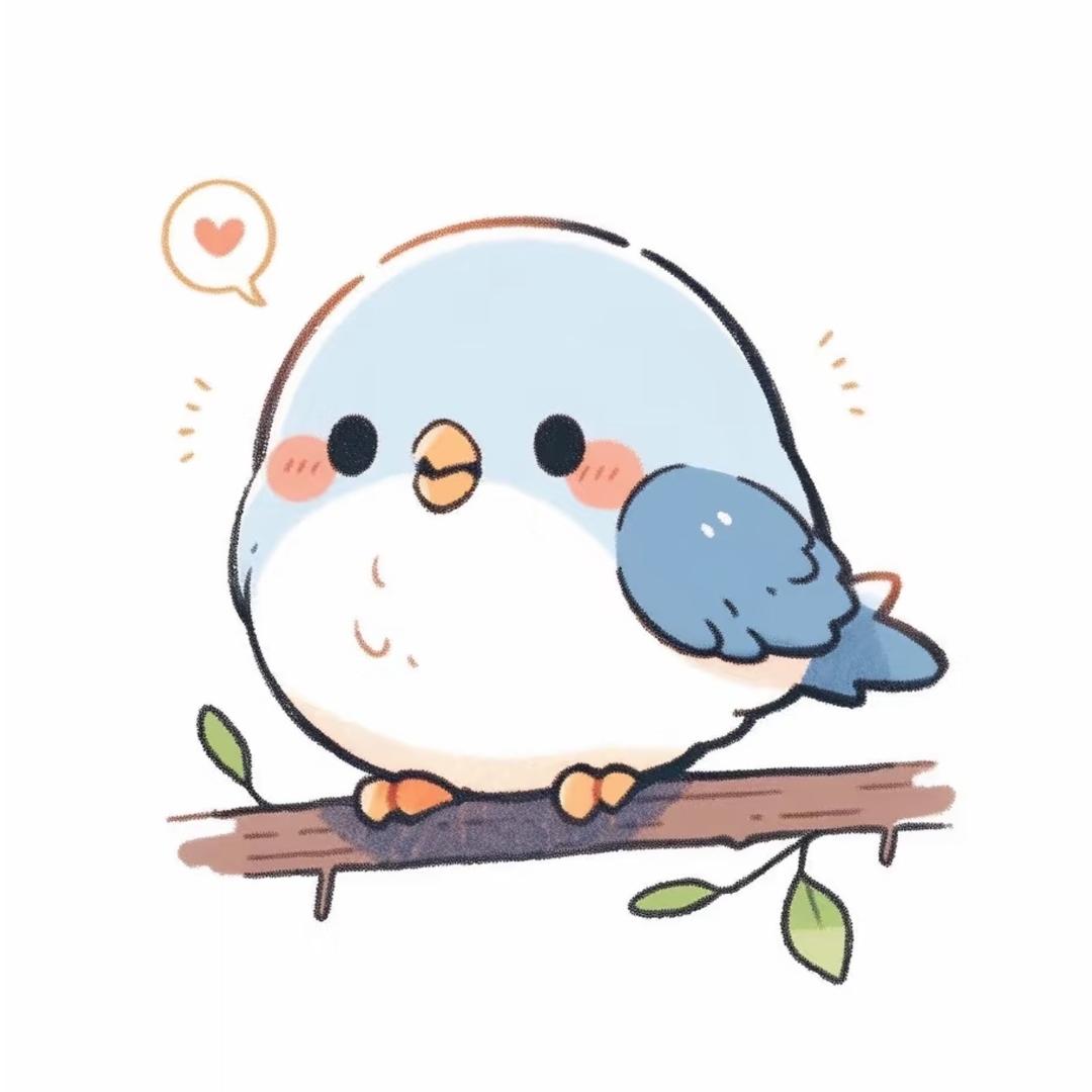 小叽飞宝🐣